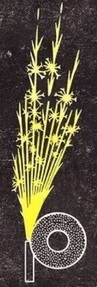 40ХН 5ХНМ