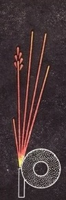 Р18