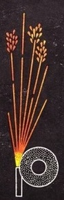 ХВ5