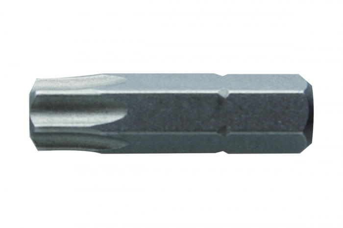 Фото Биты TORX 40, 25 мм, сталь S2, 2 шт. HOEGERT