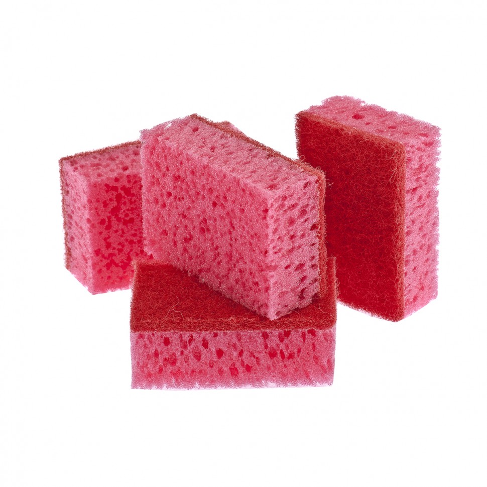 Фото Губки для посуды Coral, 95 х 64 х 36 мм, 4 шт, Россия Elfe