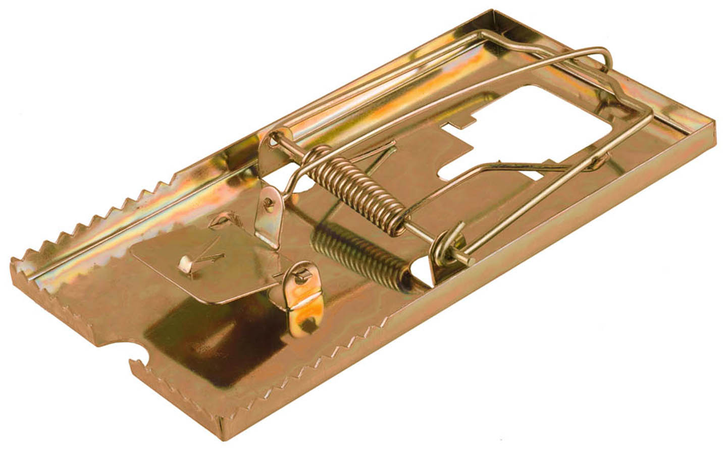 Фото Крысоловка STAYER 155х85 мм, металлическая, 40490-L