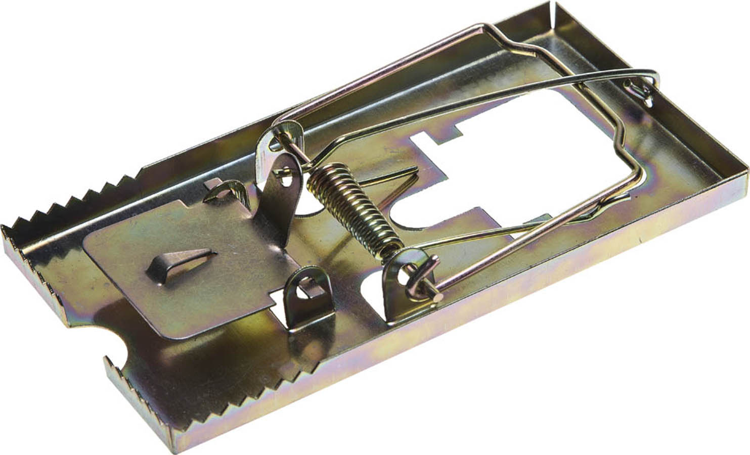 Фото Мышеловка STAYER 40490-M 115х60 мм, металлическая, средняя