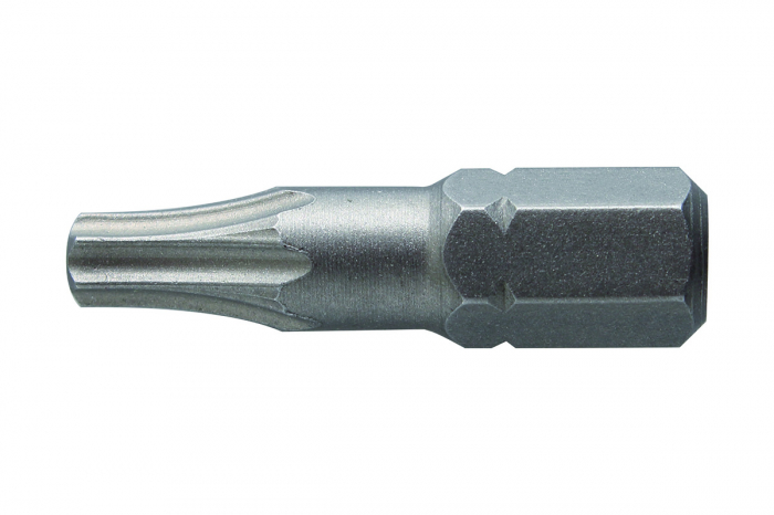 Фото Биты TORX 10, 25 мм, сталь S2, 2 шт. HOEGERT