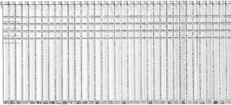 Гвозди особотвердые 31530-20 Professional STAYER гвозди тип 300, 20 мм - фото 3