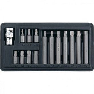 Набор бит TORX, хвостовик-шестигранник, 10 мм, CrV, 15 пред. Stels - фото 1